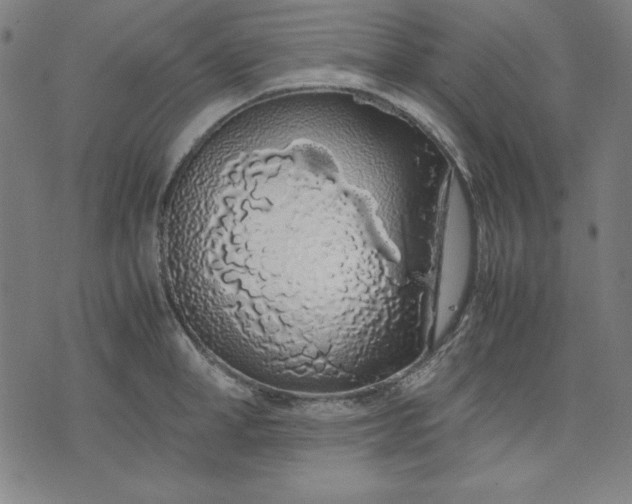 X0000072550998200607281644