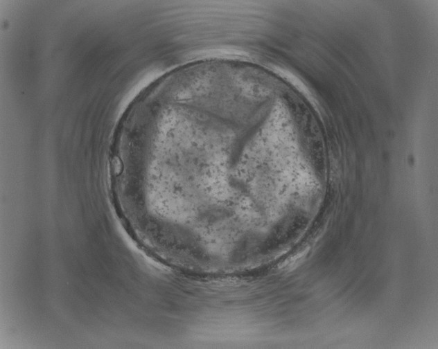 X0000072550999200607281644