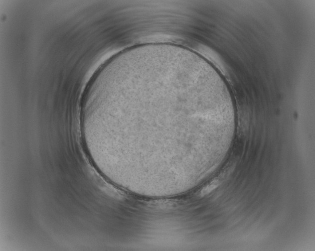 X0000072551000200607281644