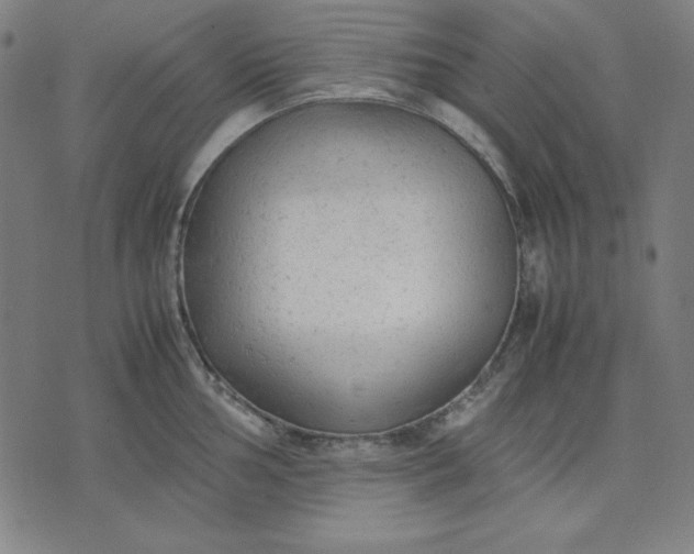 X0000072551002200607281644