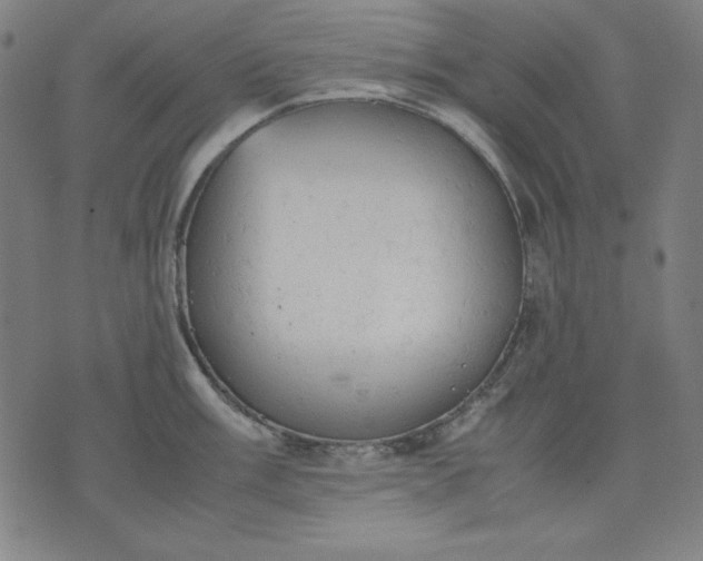 X0000072551003200607281644