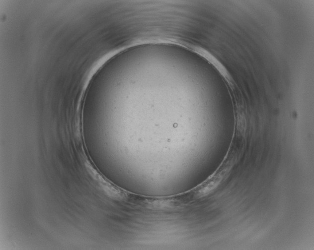 X0000072551004200607281644