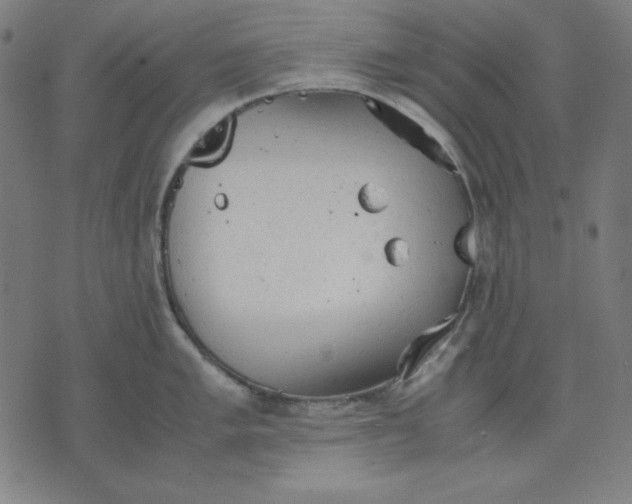 X0000072551005200607281644