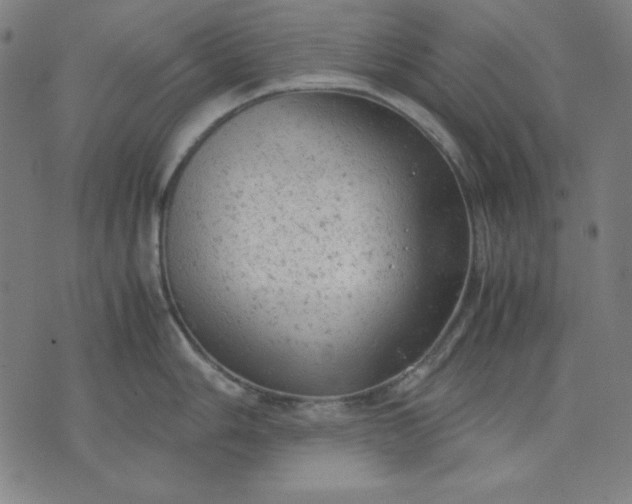 X0000072551006200607281644