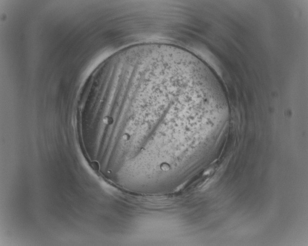 X0000072551007200607281644