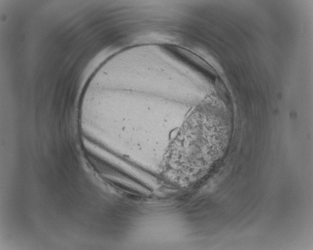 X0000072551008200607281644