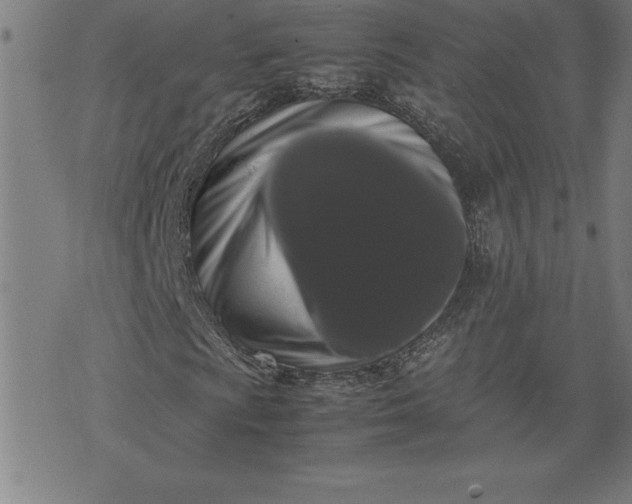 X0000072551009200607281643