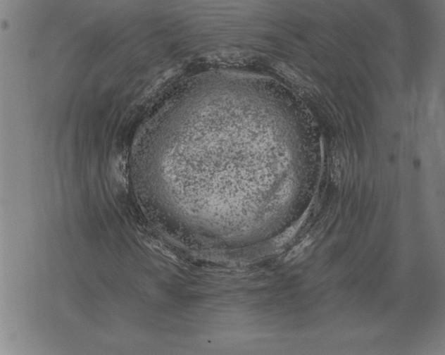 X0000072551010200607281643