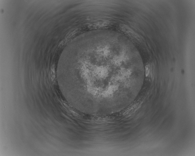 X0000072551011200607281643