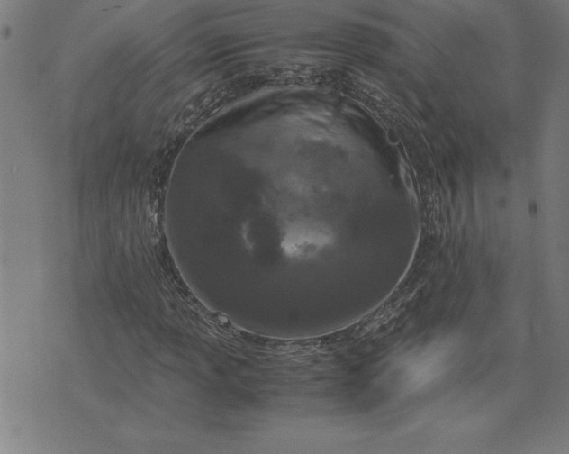 X0000072551013200607281643