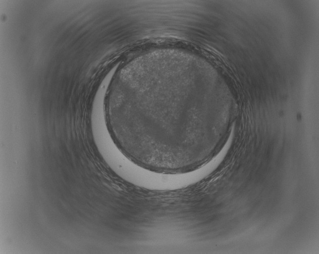 X0000072551014200607281643