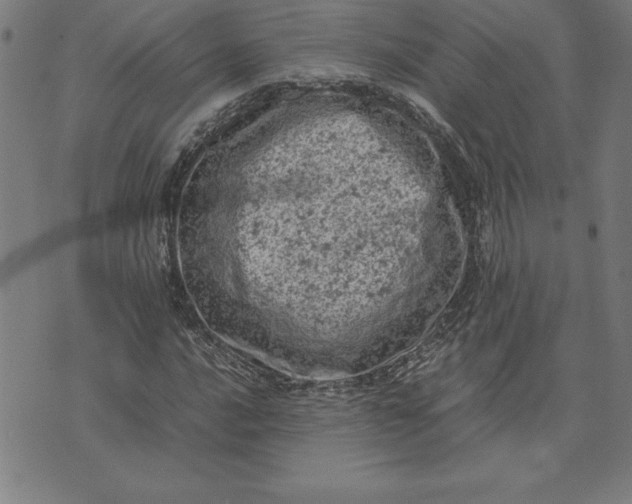 X0000072551016200607281643