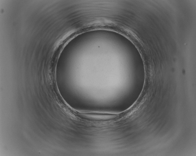 X0000072551018200607281643