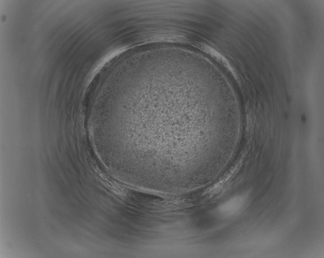 X0000072551019200607281643