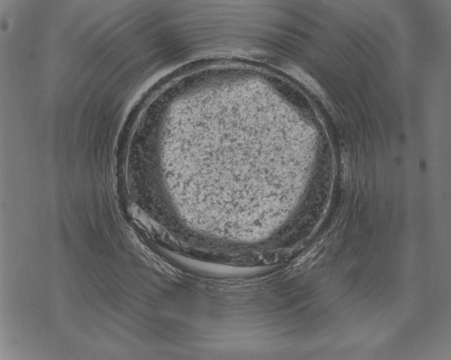 X0000072551020200607281643