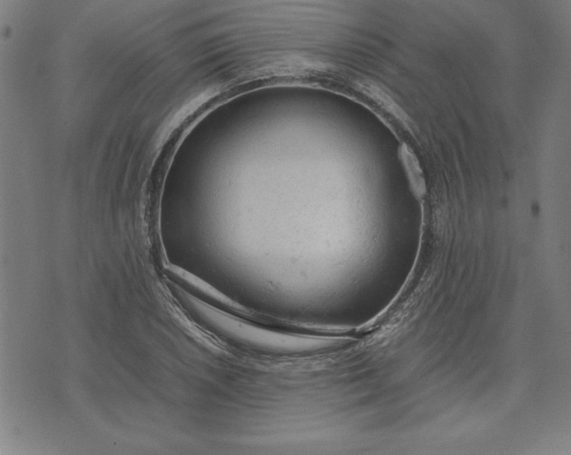 X0000072551026200607281643