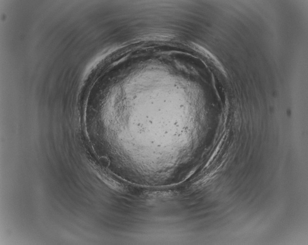 X0000072551027200607281643