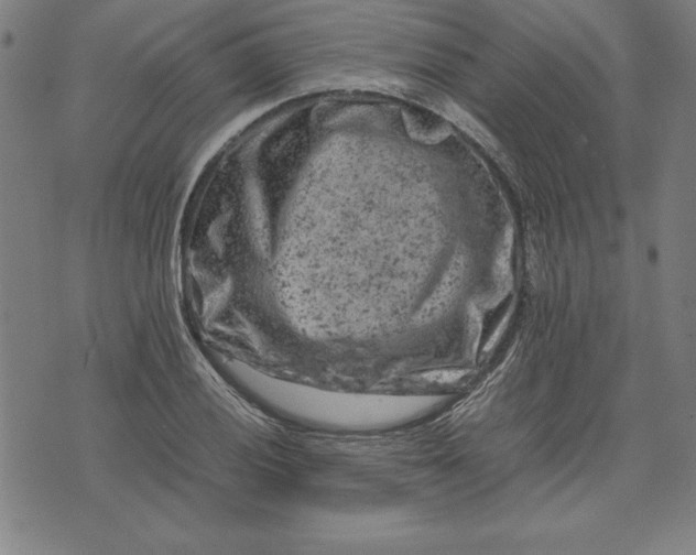 X0000072551028200607281643