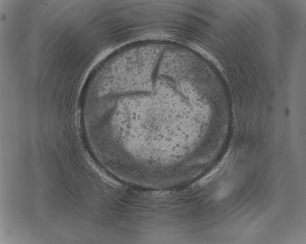 X0000072551029200607281643