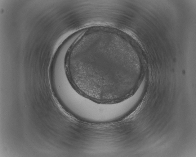 X0000072551030200607281643