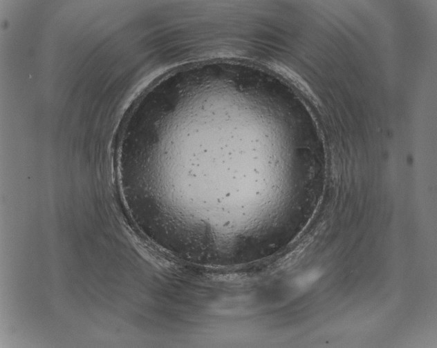 X0000072551031200607281643