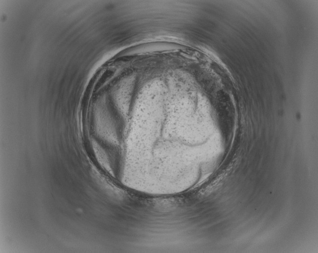 X0000072551032200607281643