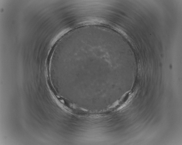 X0000072551034200607281643