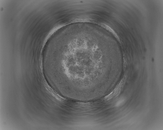 X0000072551035200607281643