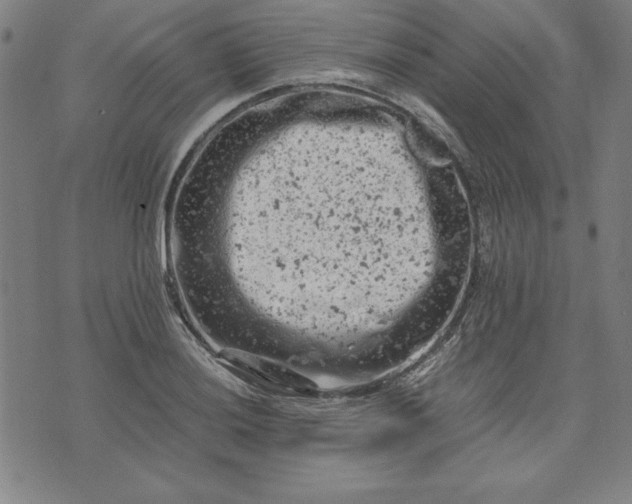 X0000072551036200607281643