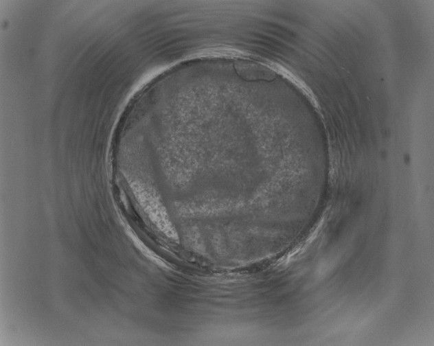 X0000072551037200607281643