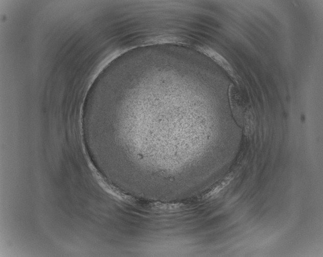 X0000072551039200607281644