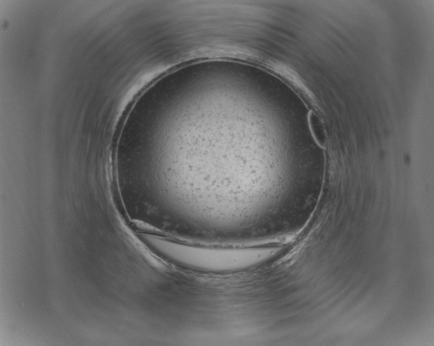 X0000072551040200607281644