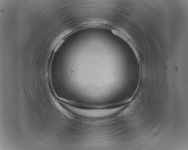 X0000072551042200607281644