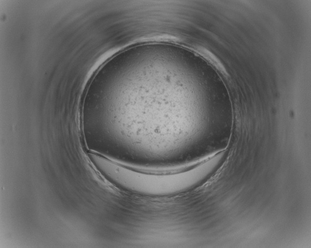 X0000072551044200607281644