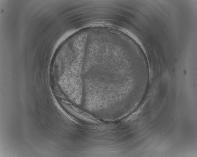 X0000072551045200607281644