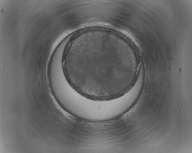 X0000072551046200607281644