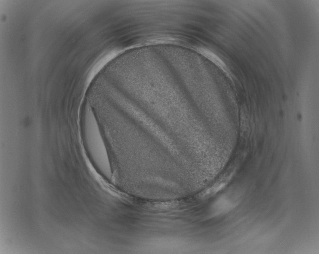 X0000072551047200607281644