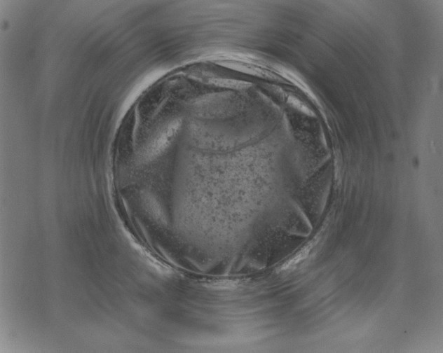 X0000072551048200607281644