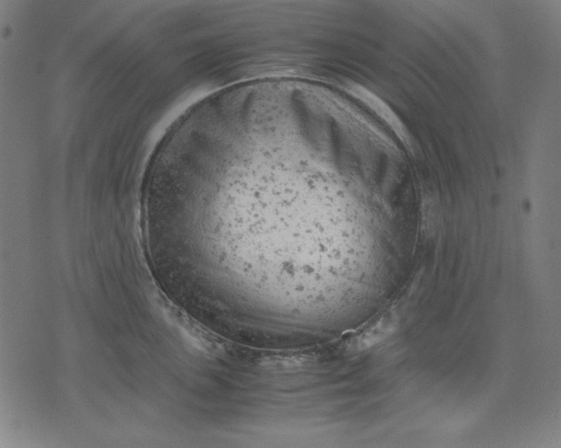 X0000072551051200607281644