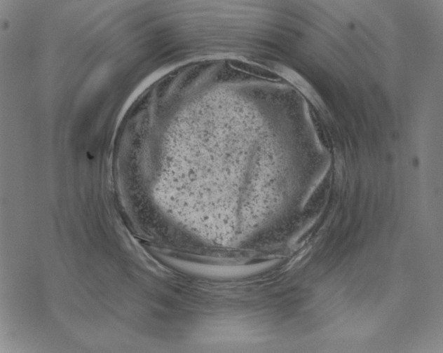 X0000072551052200607281644