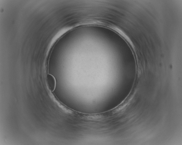 X0000072551053200607281644