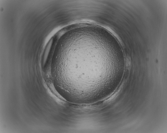 X0000072551054200607281644