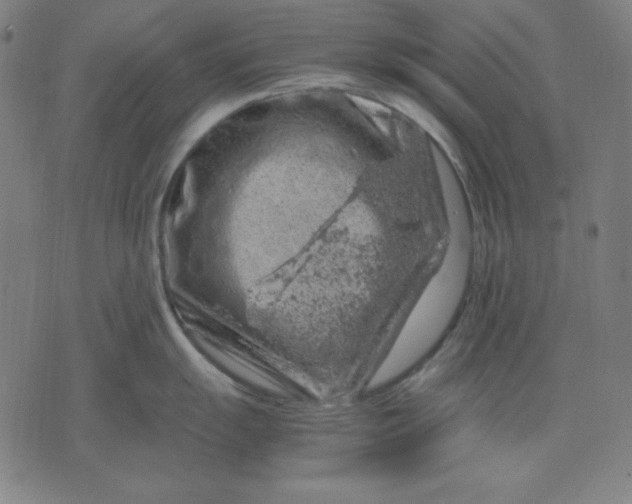 X0000072551055200607281644