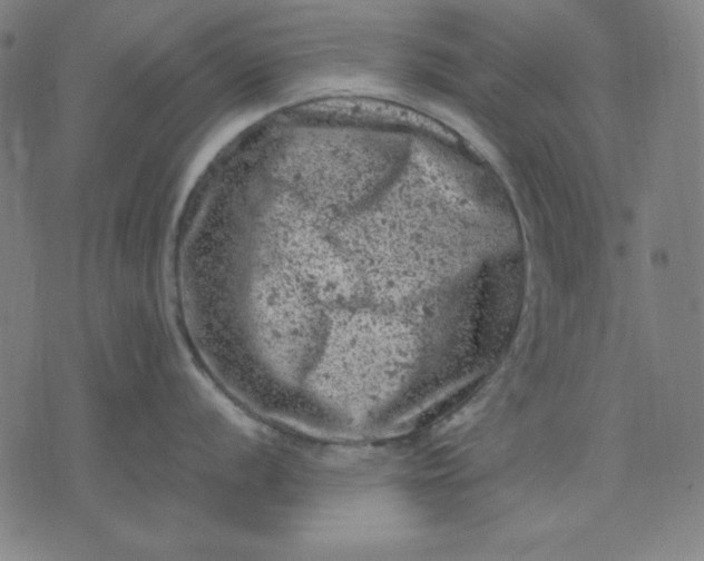 X0000072551056200607281644