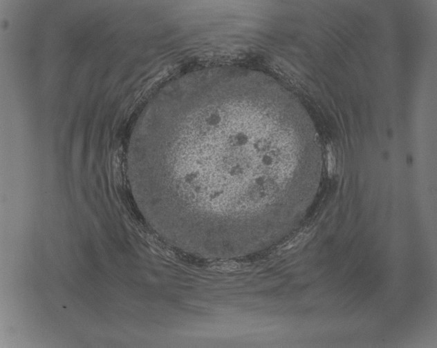 X0000072551059200607281643