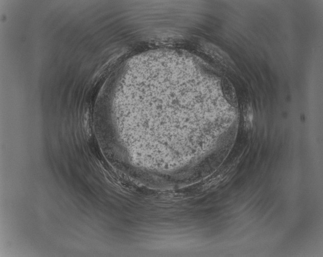 X0000072551060200607281643