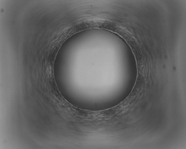 X0000072551061200607281643