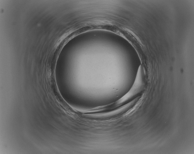 X0000072551065200607281643