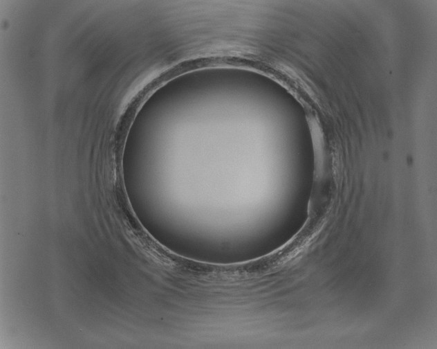 X0000072551069200607281643