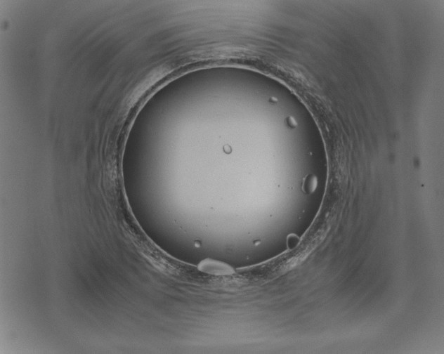 X0000072551073200607281643